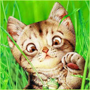 Ok3w.Net -- ���ѡ��